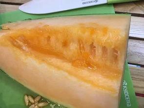 柳州今日吃瓜最新消息,揭秘网红美食背后的故事